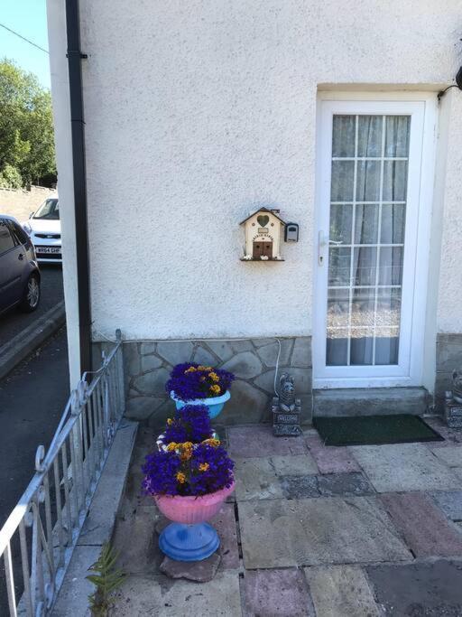 Cosy Cottage In Garnant Exterior photo